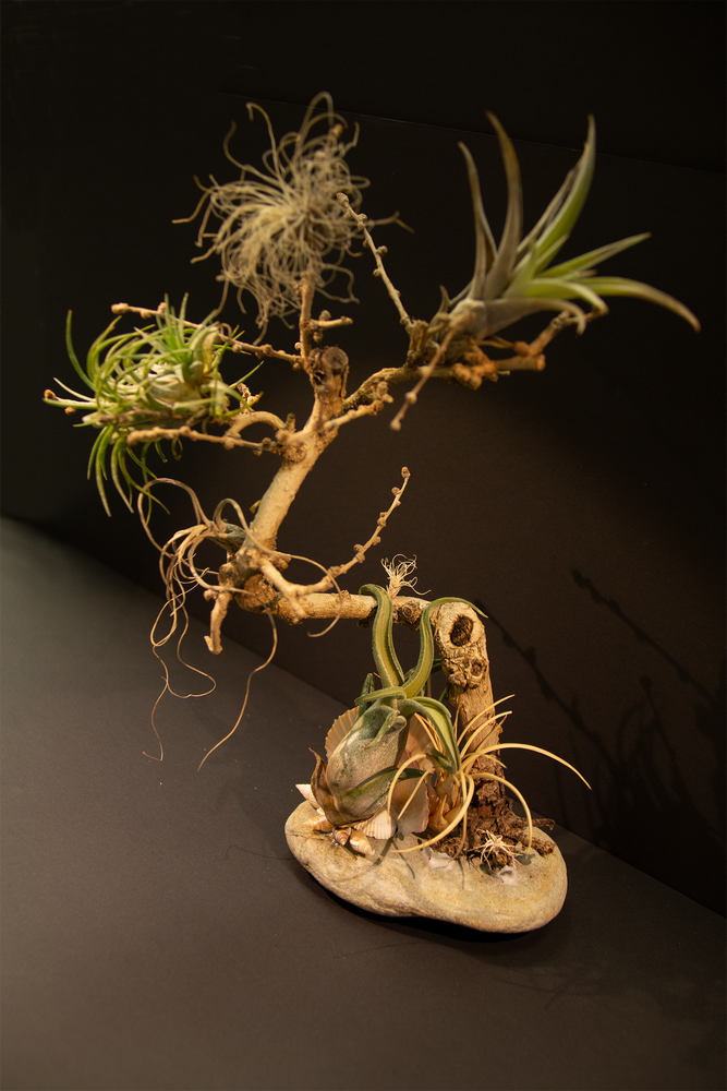 
                  
                    Charger l&amp;#39;image dans la galerie, Paysage miniature - Arbre
                  
                