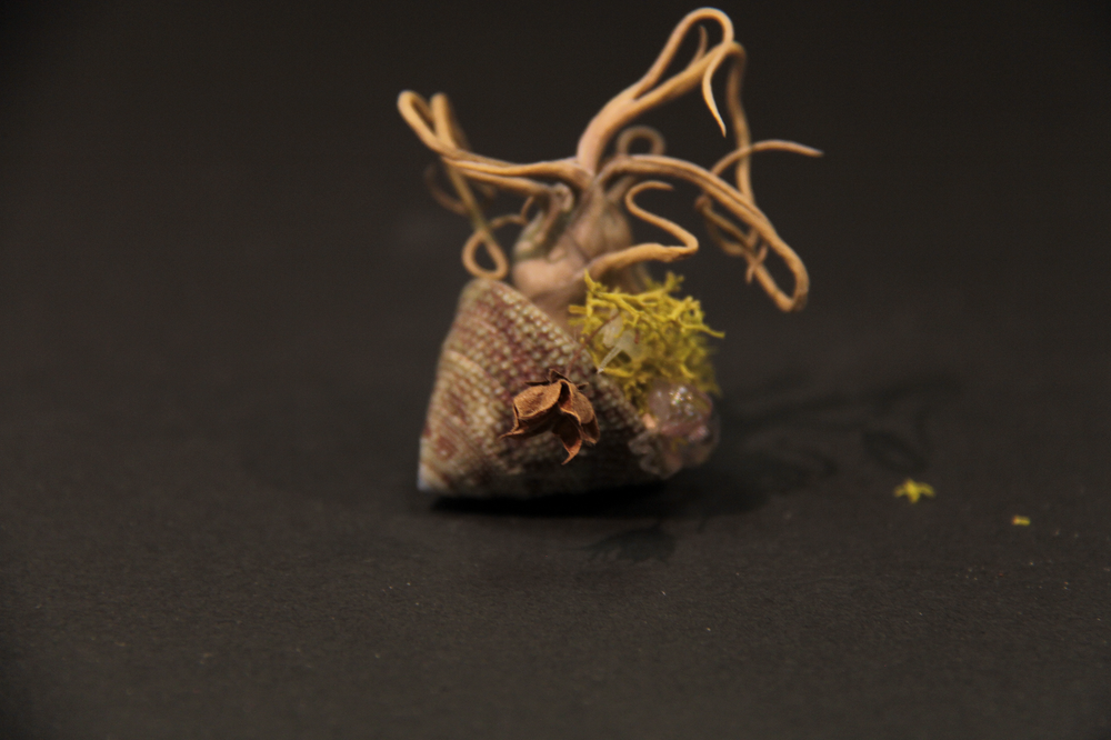 
                  
                    Charger l&amp;#39;image dans la galerie, Coquillage miniature - Hermit
                  
                