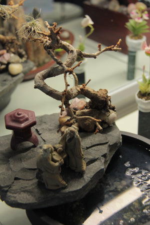 
                  
                    Charger l&amp;#39;image dans la galerie, Paysage miniature - Carpe diem
                  
                