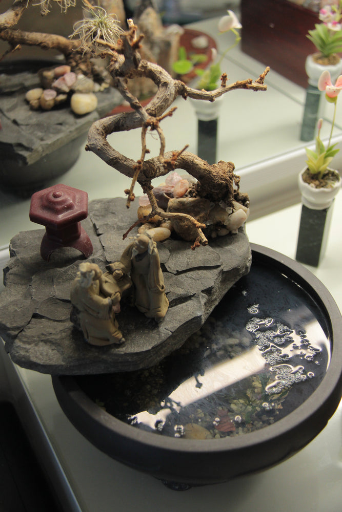 
                  
                    Charger l&amp;#39;image dans la galerie, Paysage miniature - Carpe diem
                  
                